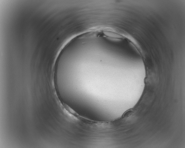 X0000063451102200602031801