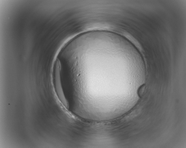 X0000063451104200602031801