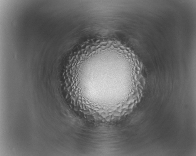 X0000063451105200602031800