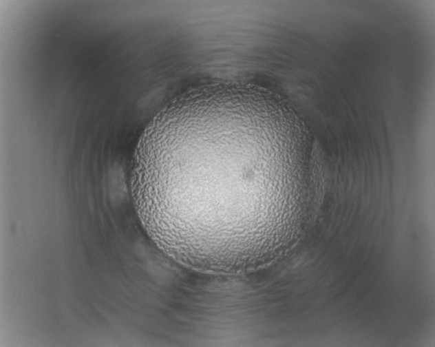 X0000063451106200602031800