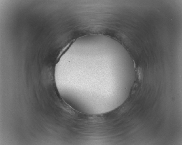 X0000063451107200602031800