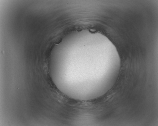 X0000063451109200602031800