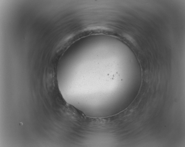 X0000063451111200602031800