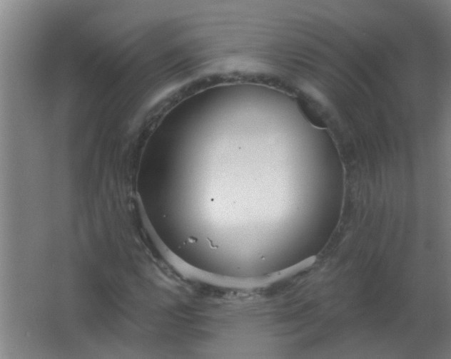 X0000063451112200602031801