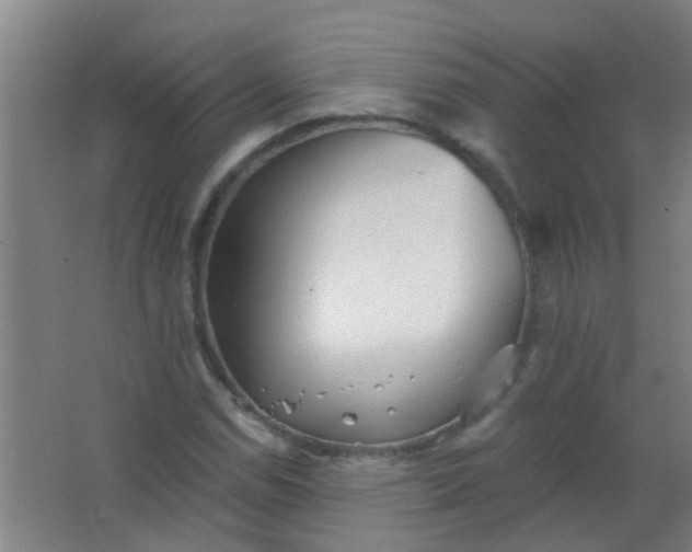 X0000063451114200602031801