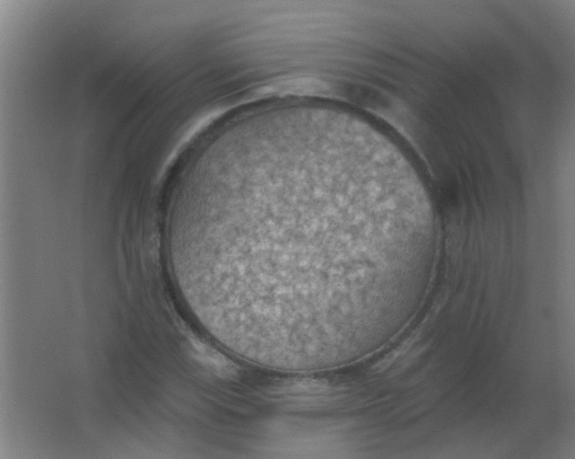 X0000063451115200602031801