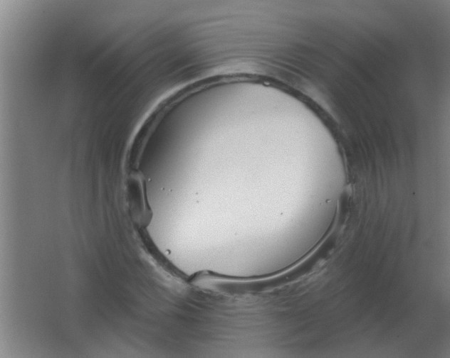 X0000063451116200602031801