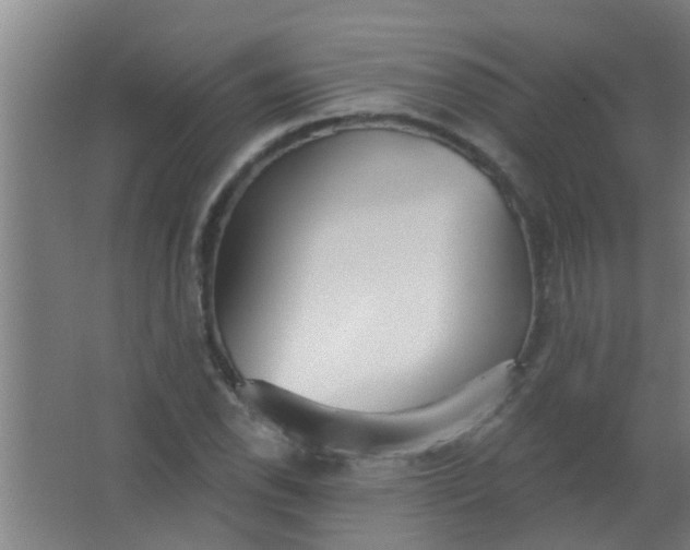 X0000063451118200602031801