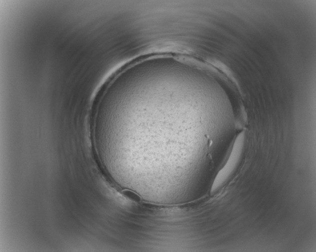 X0000063451120200602031801