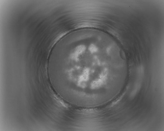 X0000063451121200602031801