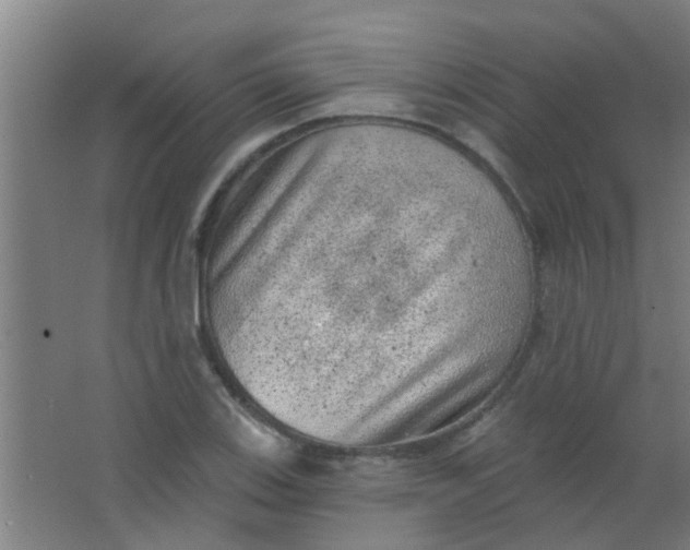 X0000063451123200602031801