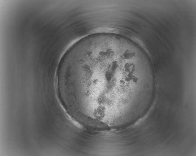 X0000063451125200602031801