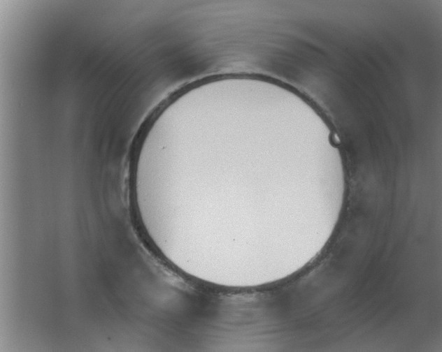 X0000063451126200602031801