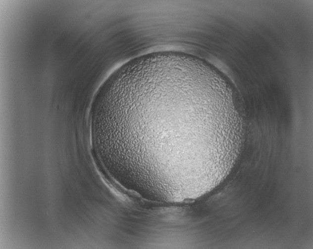 X0000063451127200602031801