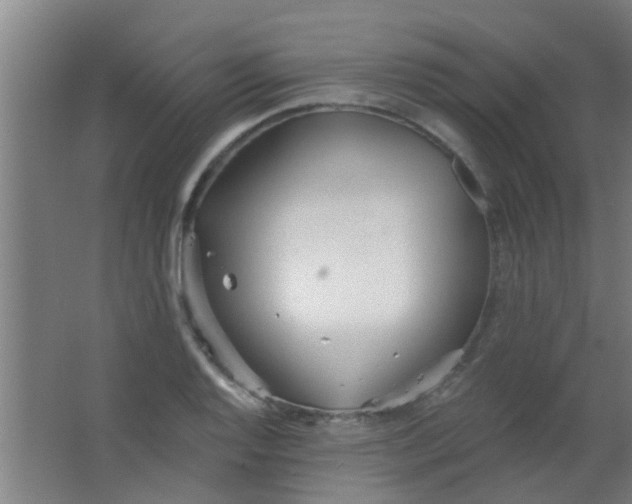 X0000063451128200602031801