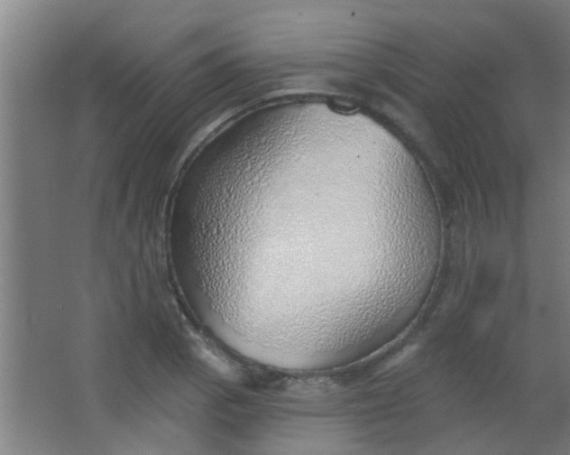 X0000063451129200602031801