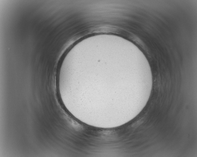 X0000063451130200602031801