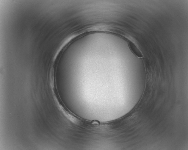 X0000063451131200602031801