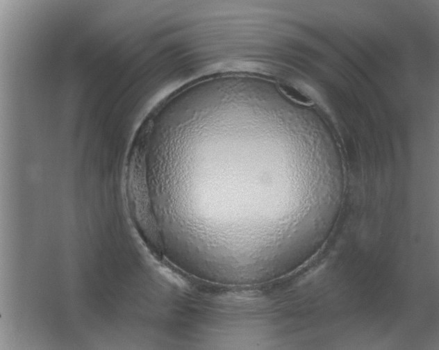 X0000063451133200602031801