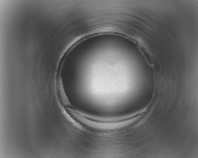 X0000063451134200602031801