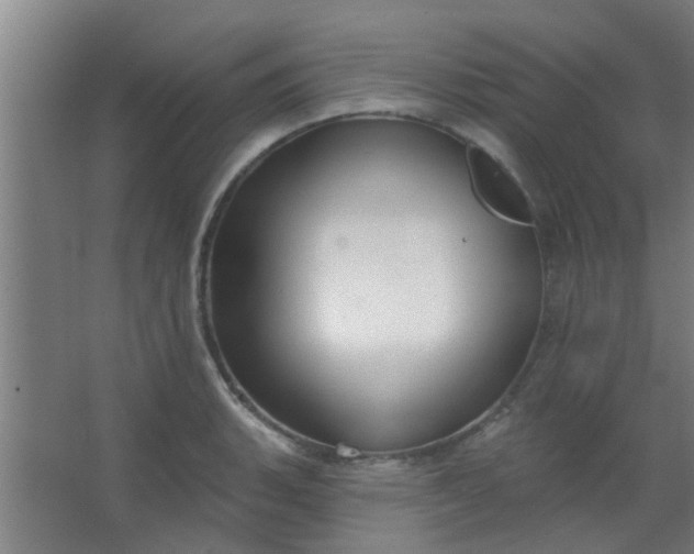 X0000063451135200602031801