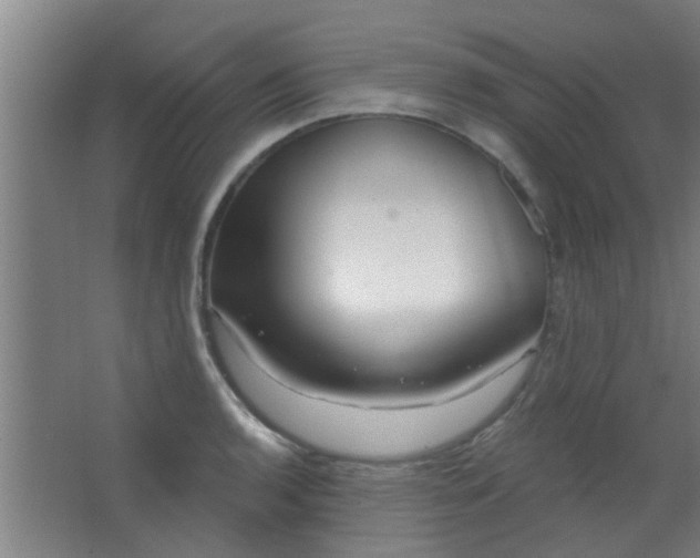 X0000063451136200602031801