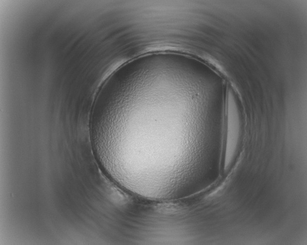 X0000063451137200602031801