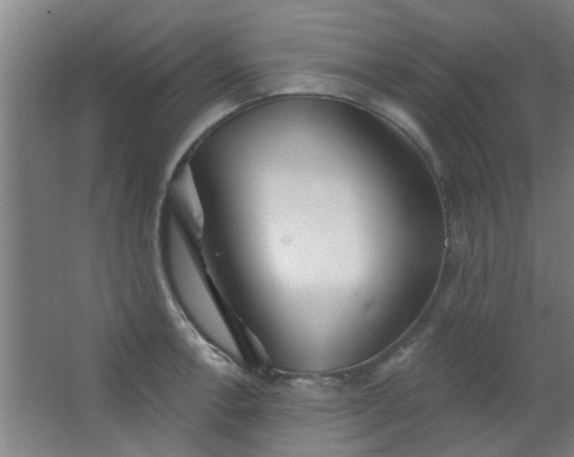 X0000063451138200602031801