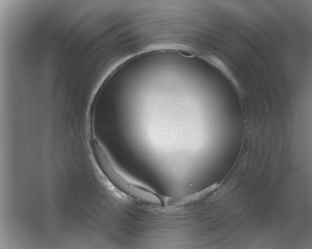 X0000063451140200602031801