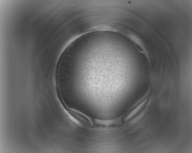 X0000063451141200602031801