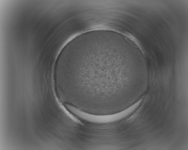 X0000063451142200602031801