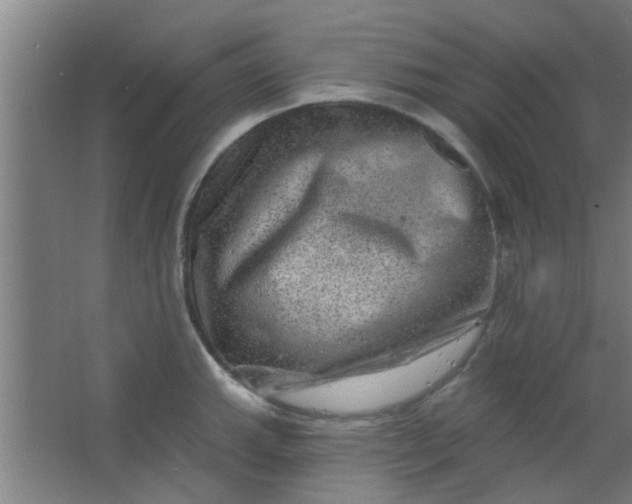 X0000063451143200602031801