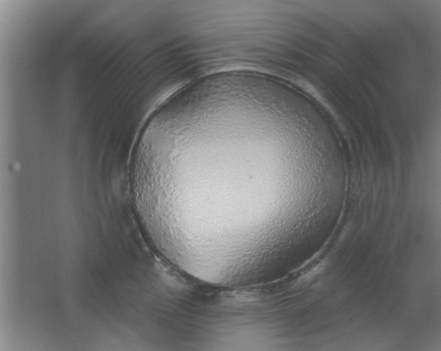 X0000063451145200602031801