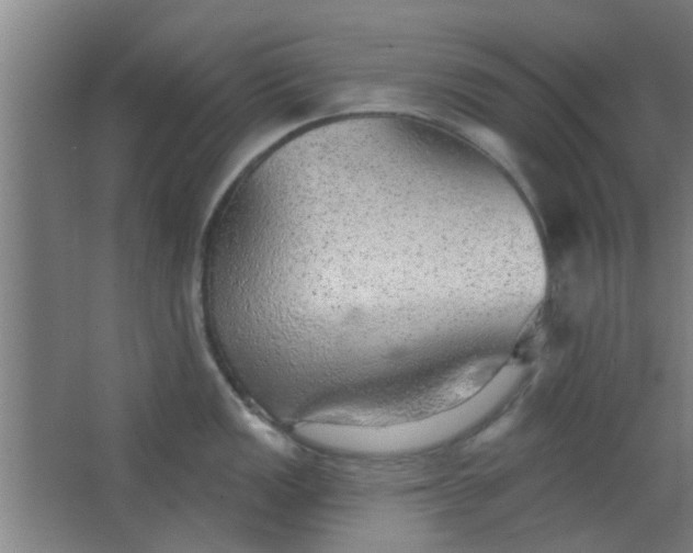 X0000063451149200602031801