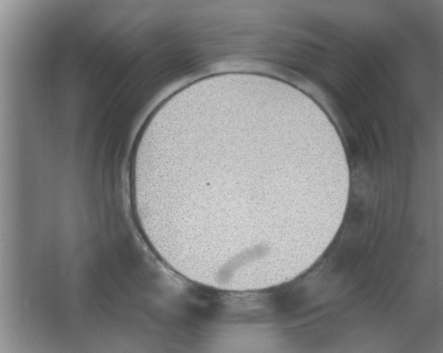 X0000063451150200602031801