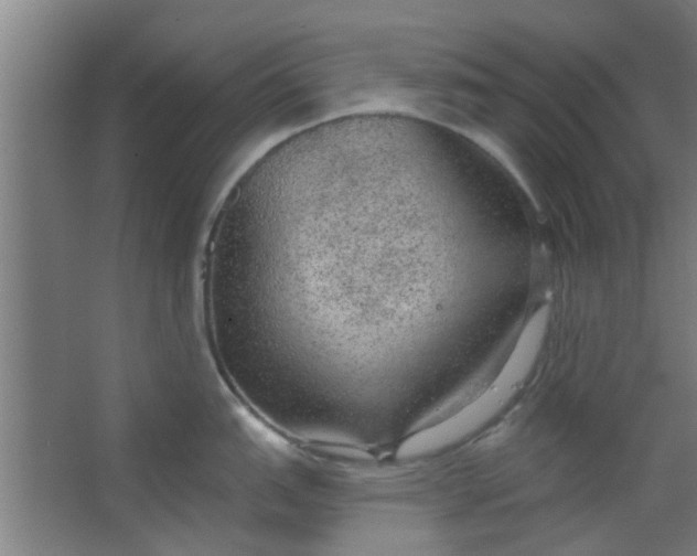 X0000063451151200602031801