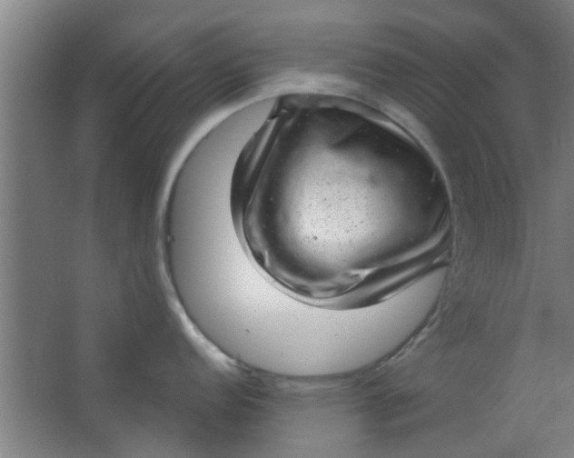 X0000063451152200602031801