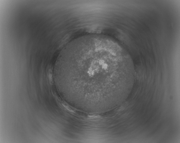 X0000063451154200602031800