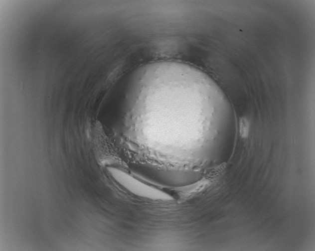 X0000063451155200602031800