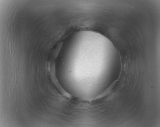 X0000063451156200602031800