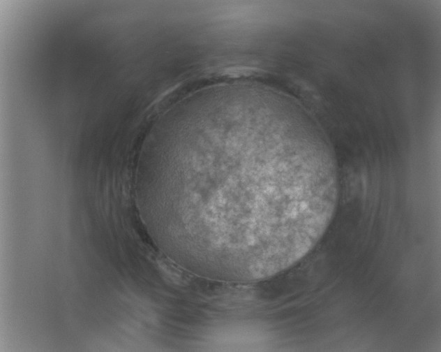 X0000063451158200602031800