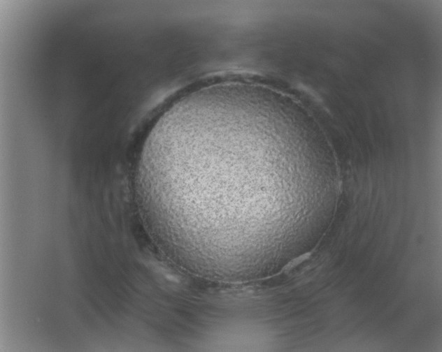 X0000063451159200602031800