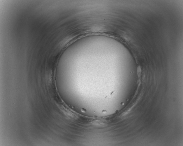 X0000063451161200602031800