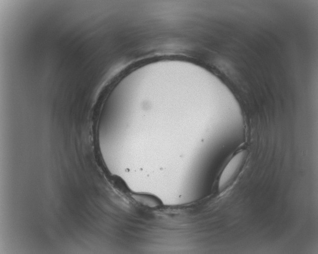 X0000063451164200602031800