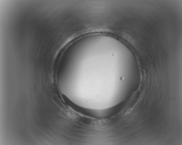 X0000063451165200602031800