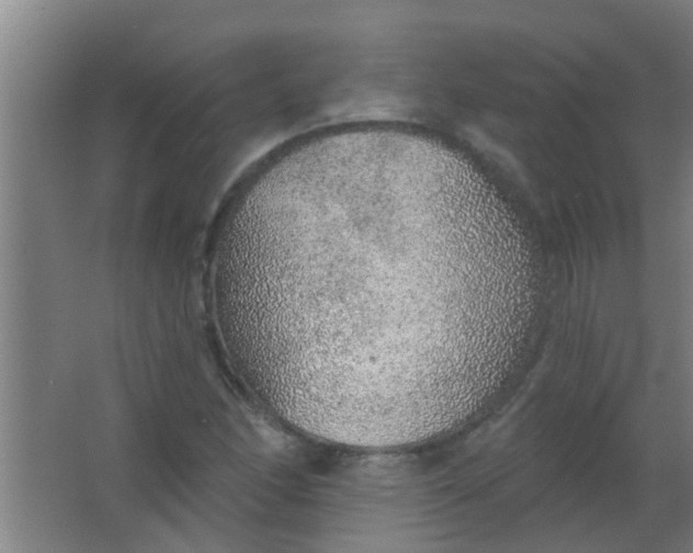 X0000063451166200602031800