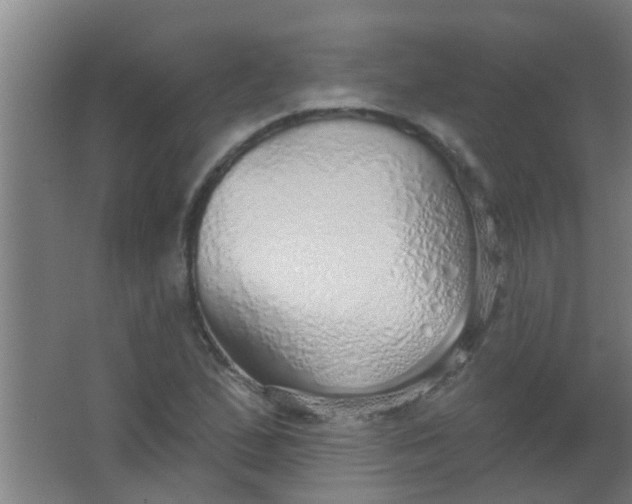 X0000063451167200602031800