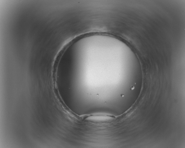 X0000063451168200602031800