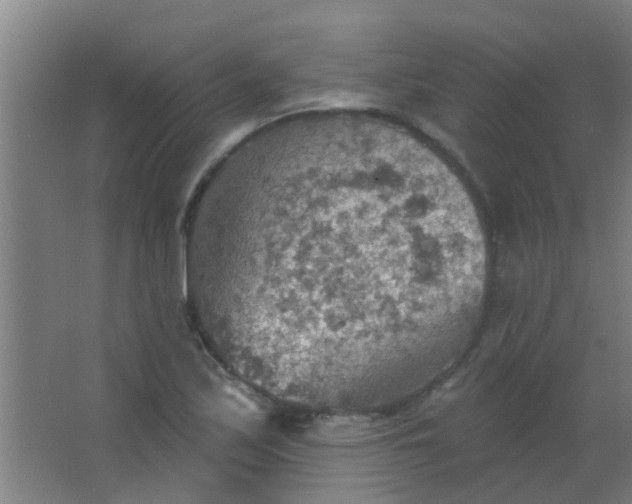 X0000063451171200602031800