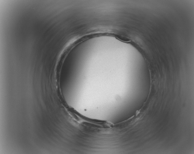 X0000063451172200602031800